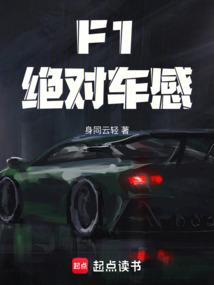 F1：绝对车感