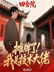 四合院：摊牌了，我是技术大佬