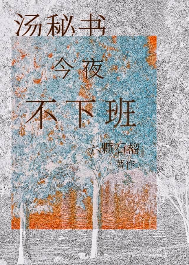 汤秘书今夜不下班