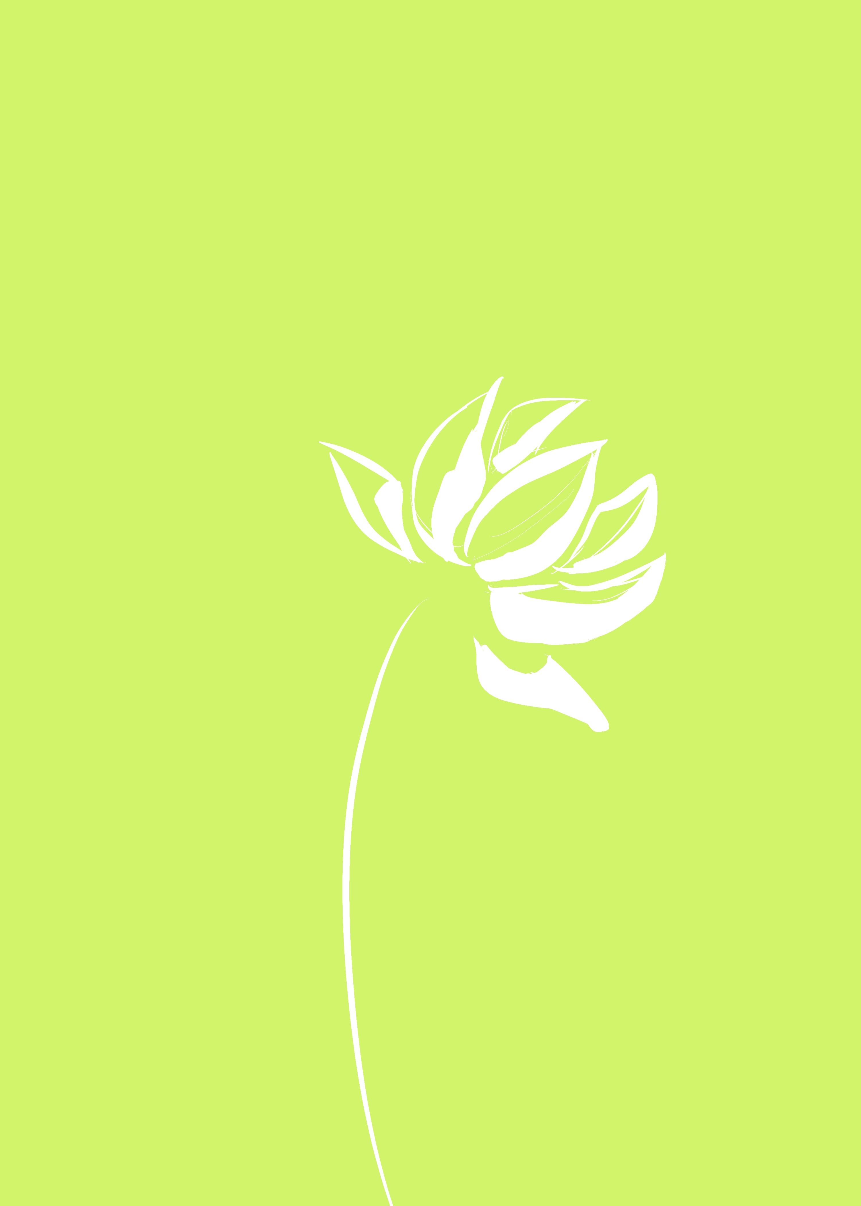 当绿茶遇上白莲花