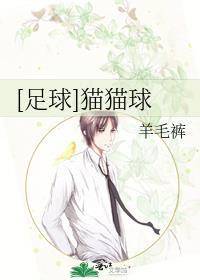 [足球]猫猫球