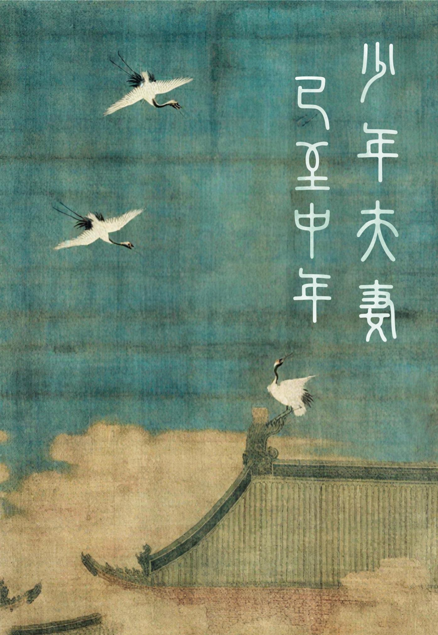 少年夫妻已至中年