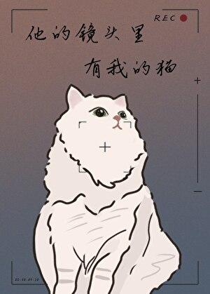 他的镜头里有我的猫