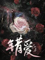 苏宛白慕容傲天