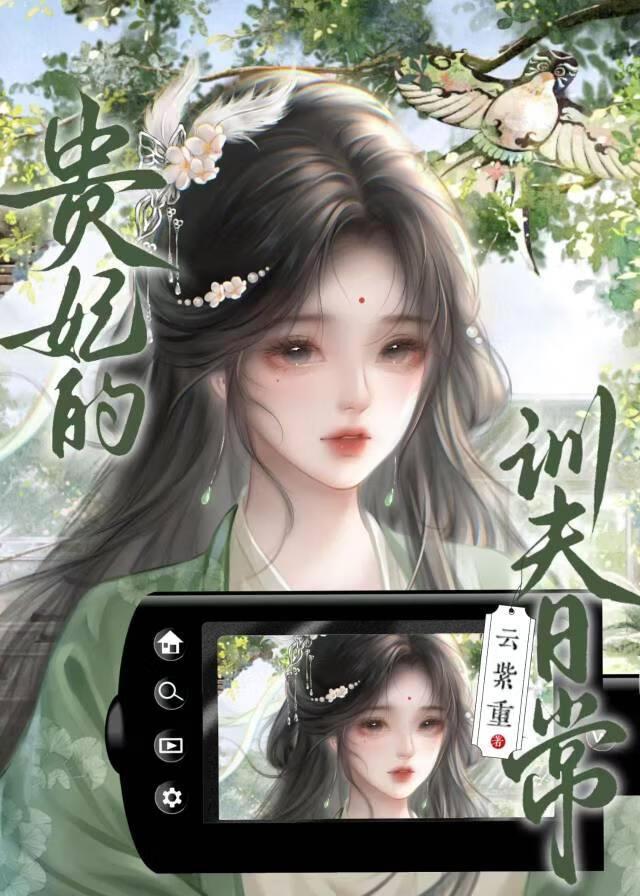 贵妃的训夫日常