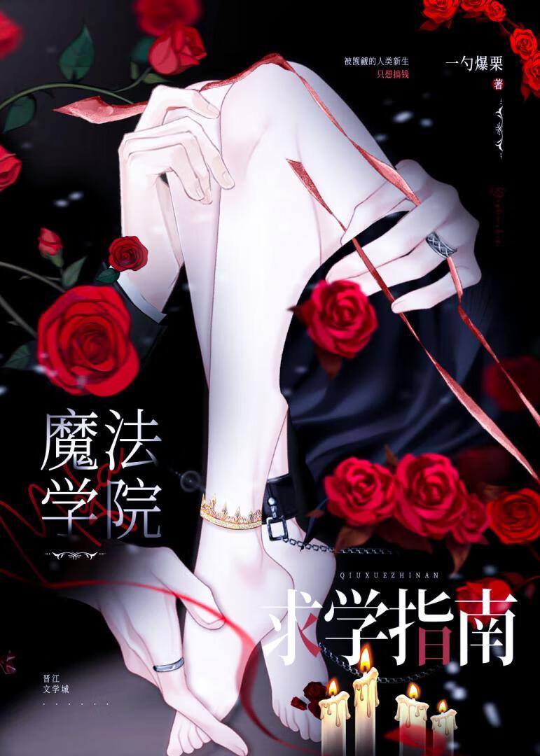 魔法学院求学指南[西幻]