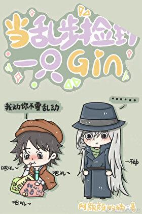 当乱步捡到一只gin