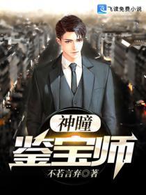 神瞳鉴宝师