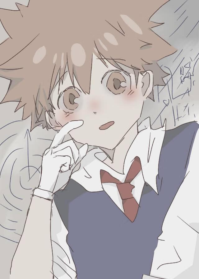 这个泽田家光成27厨后