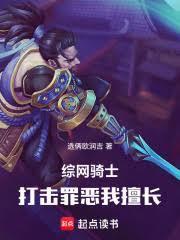 综网骑士：打击罪恶我擅长