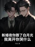 陆争江黎儿