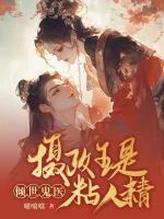 安临月轩辕夜宸