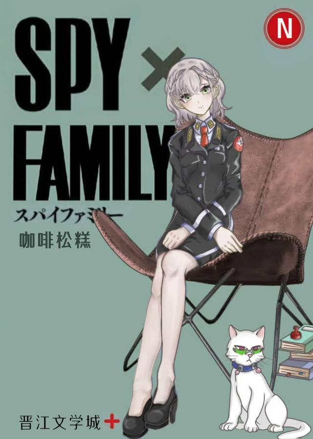 我的间谍物语果然有问题