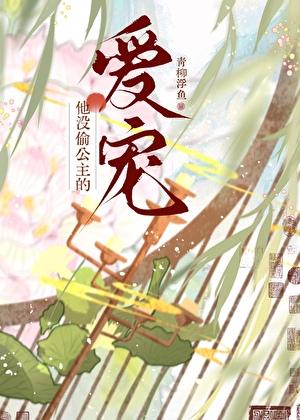 他没偷公主的爱宠