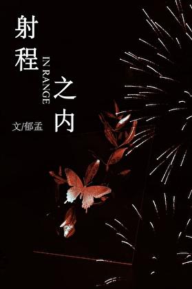 射程之内[射击]