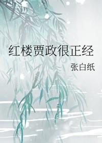 [红楼同人] 红楼贾政很正经