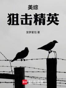 美综：狙击精英