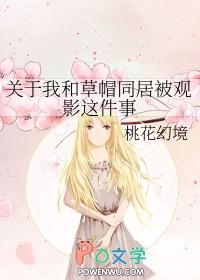 [海贼同人] 关于我和草帽同居被观影这件事