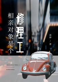 相亲对象是个修理工