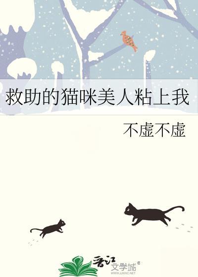 救助的猫咪美人粘上我